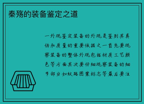 秦殇的装备鉴定之道
